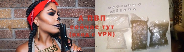 тгк Надым