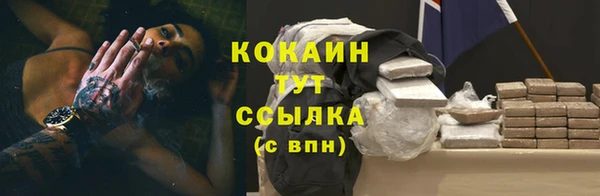 стафф Михайловск
