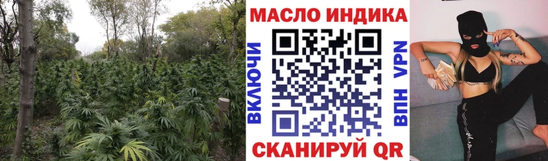 как найти закладки Полярный omg ONION ТГК THC oil