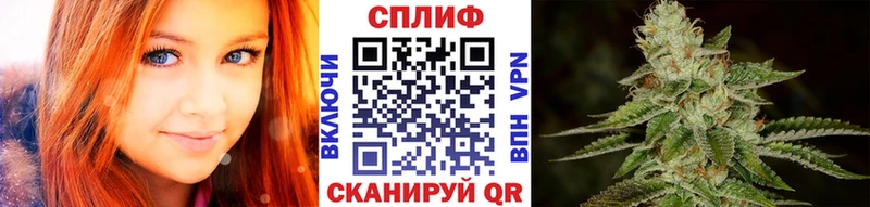 МЕГА ТОР Полярный Шишки марихуана ГИДРОПОН